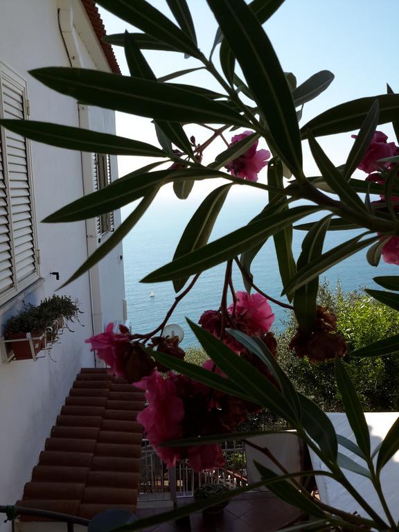 Bed & Breakfast Ambrosio Home
