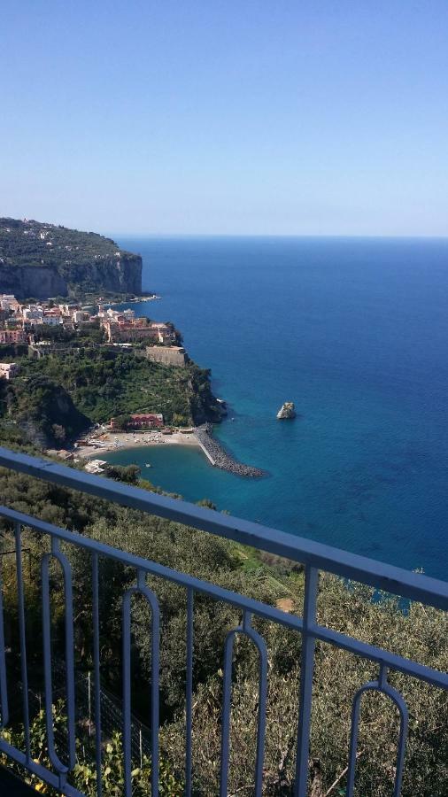 Ambrosio Home